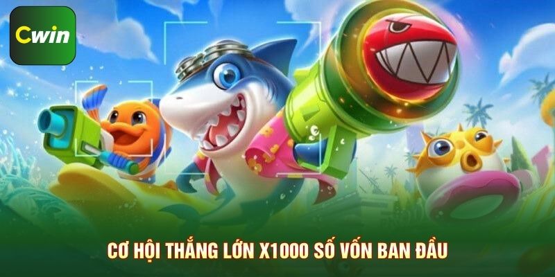 Cơ hội thắng lớn X1000 số vốn ban đầu
