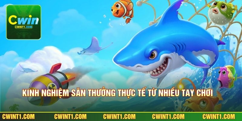 Kinh nghiệm săn thưởng thực tế từ nhiều tay chơi